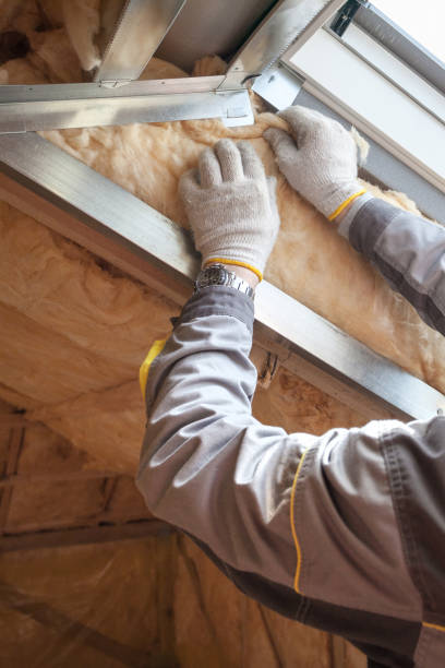 Best Geographic-Specific Insulation Services in Clearlake Riviera, CA