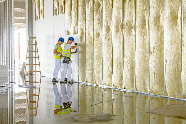 Best Commercial Insulation in Clearlake Riviera, CA
